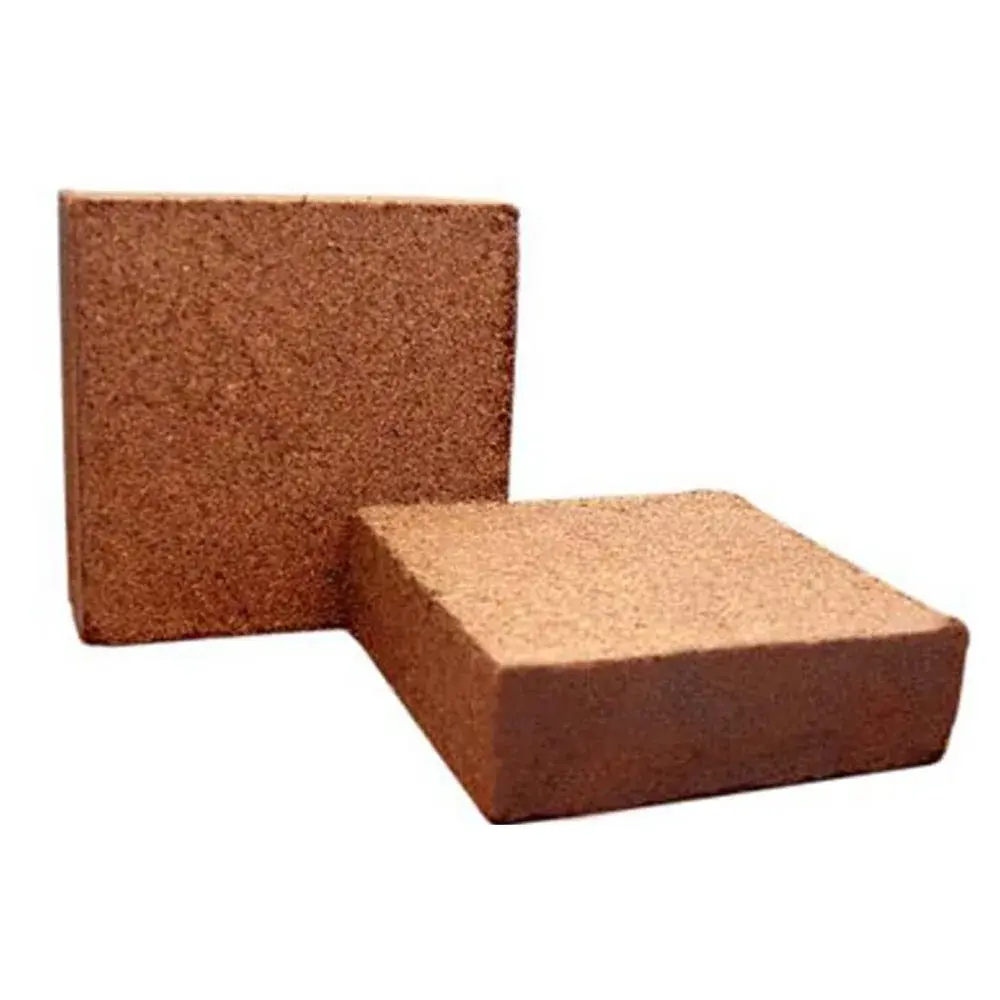 Cocopeat Block for Microgreens — fresh microgreens grown in Pune