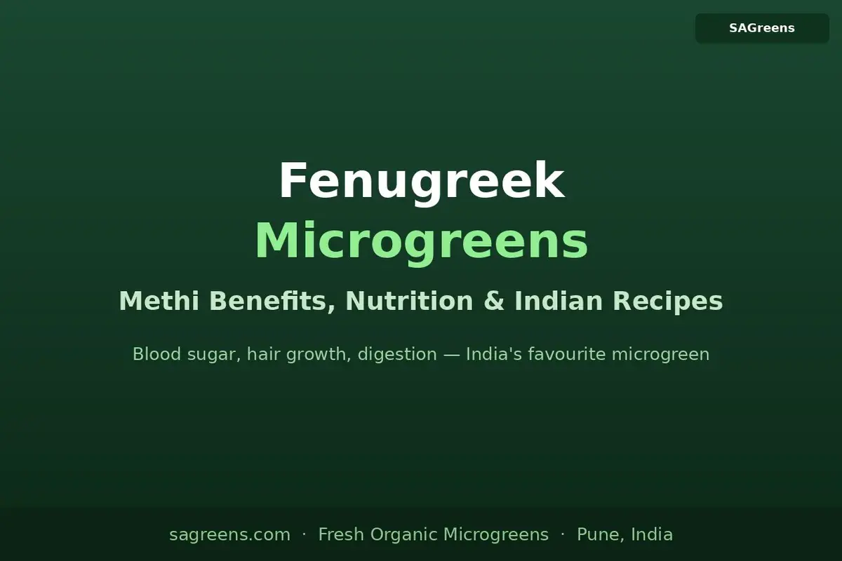 Fenugreek microgreens benefits guide – methi nutrition, blood sugar, hair growth, cholesterol, nursing mothers, and Indian recipes by SAGreens Pune