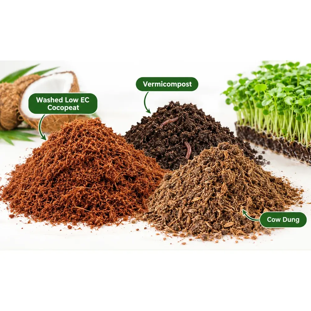 Microgreen Growing Mix — Ready to Use (1kg) — fresh microgreens grown in Pune