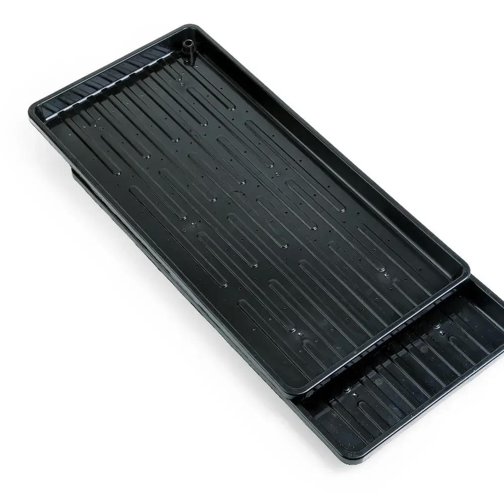 Microgreen Growing Tray — Set of 2 (600 x 300 mm) for microgreens - buy online Pune | SAGreens