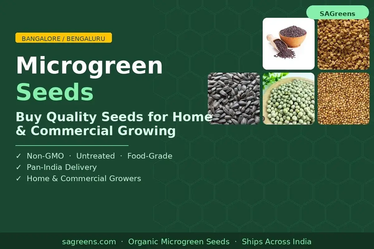 Microgreen seeds in Bangalore – where to buy untreated Non-GMO food-grade seeds online for home growers and commercial microgreen farms in Bengaluru, Karnataka, by SAGreens