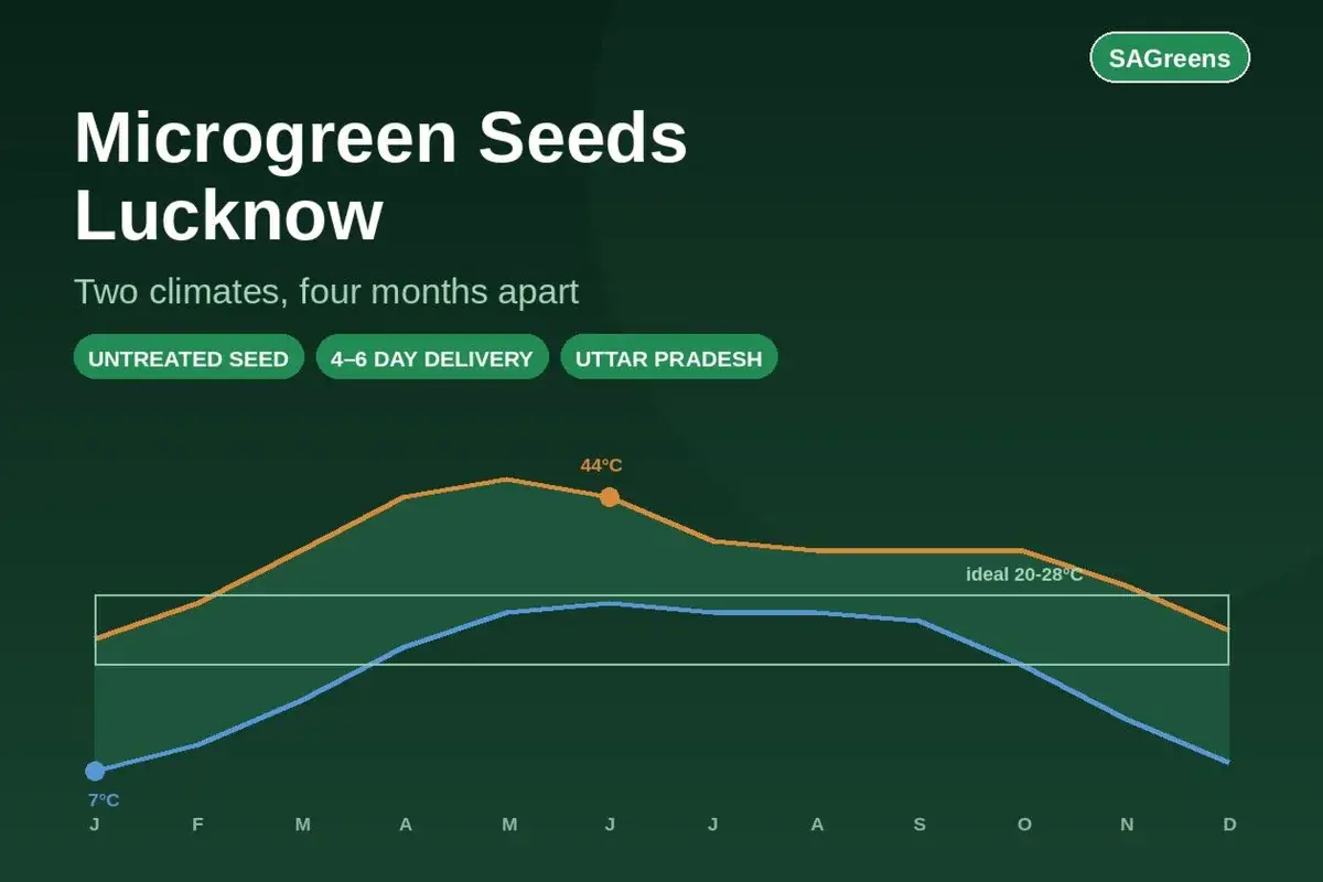 Microgreen seeds Lucknow - untreated organic seed delivered across Uttar Pradesh, with a temperature chart showing how Lucknow swings from 7C January nights to 44C June days and what that means for germination timing by SAGreens Pune