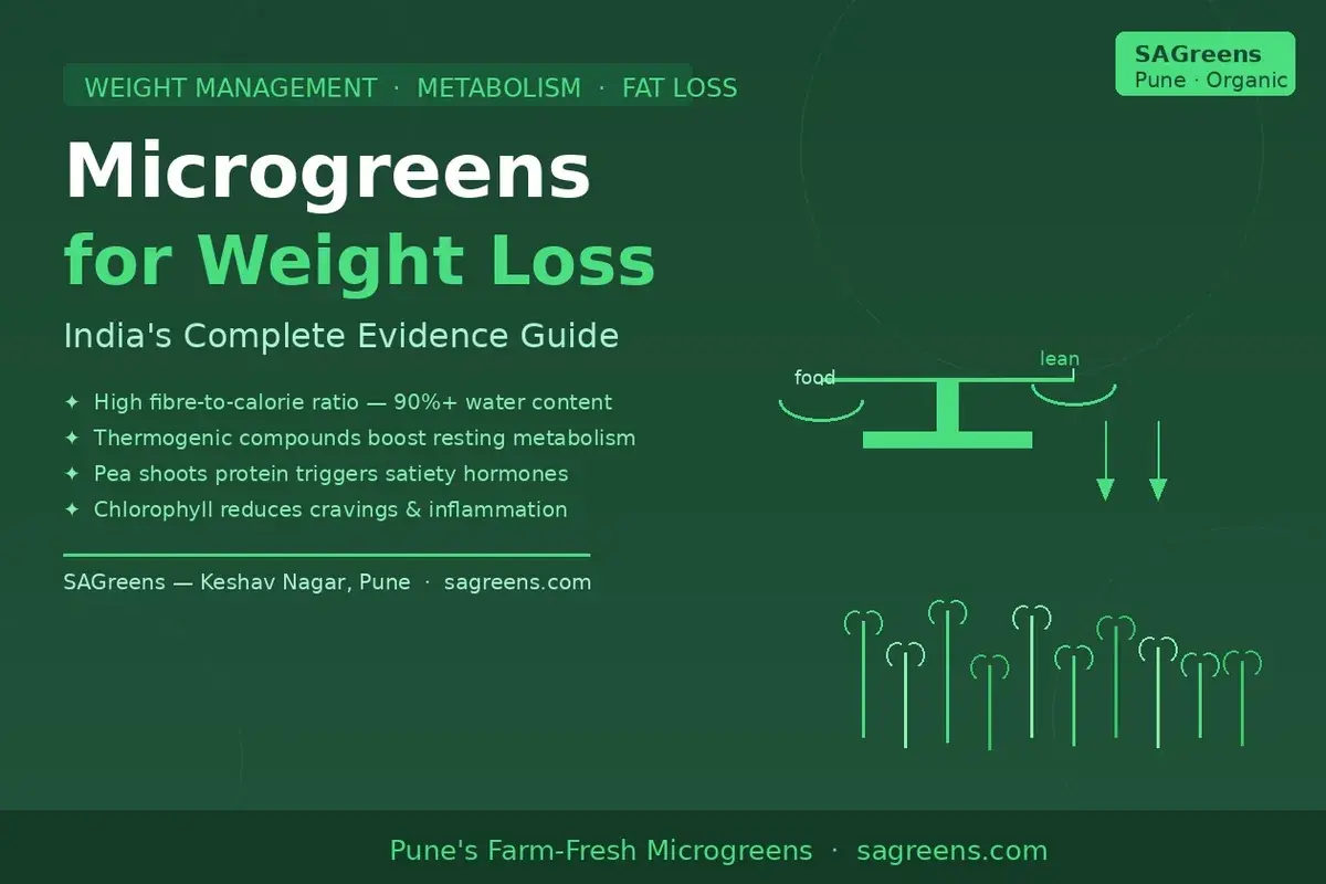Microgreens for weight loss India – low calorie high fibre guide to sulforaphane AMPK metabolism, fenugreek GLP-1 satiety and Indian diet substitutions by SAGreens Pune