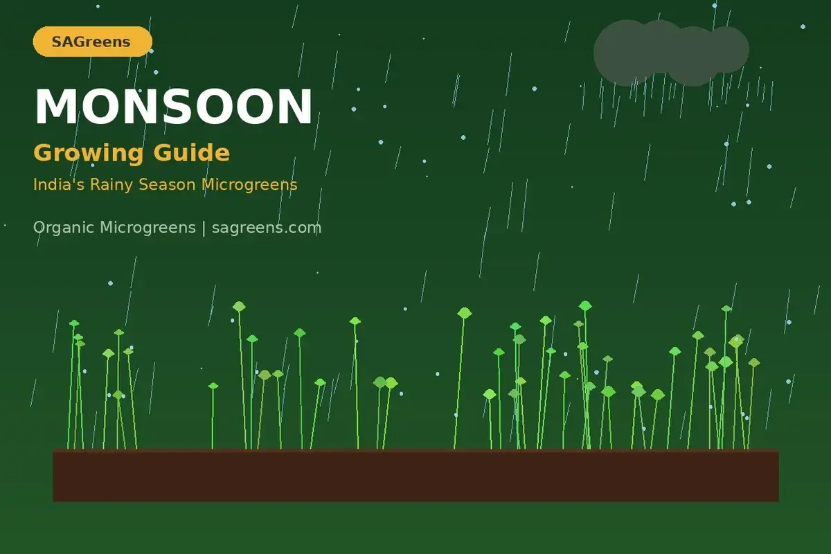 Growing microgreens during Indian monsoon season – tips for preventing mold, best varieties, and rainy season adjustments for home growers