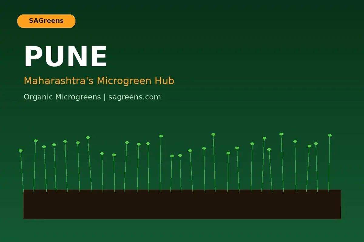 Microgreens in Pune growing guide – farm-fresh organic microgreens delivery across all Pune neighbourhoods from Hinjewadi to Koregaon Park by SAGreens