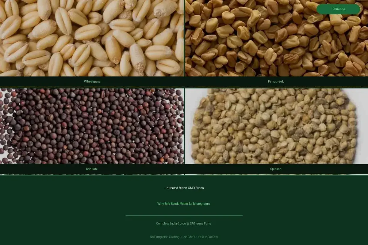 Untreated non-GMO microgreen seeds in their natural colour, sold for food use rather than field sowing, by SAGreens Pune