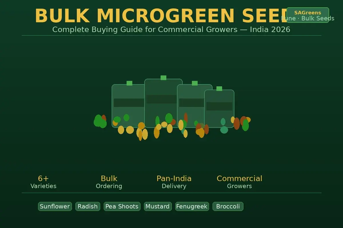 Bulk microgreen seeds India buying guide – commercial seed varieties including sunflower, radish, mustard and pea shoots for farms, restaurants and food businesses by SAGreens Pune