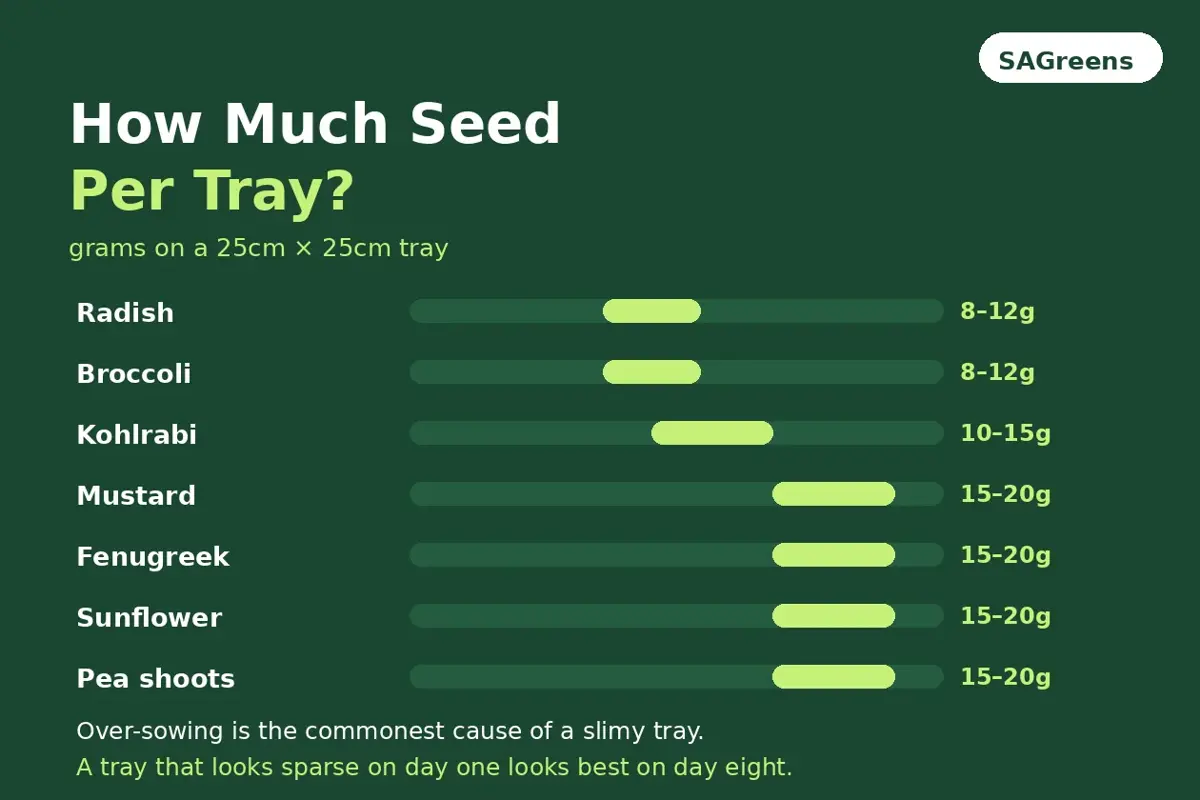 Microgreen sowing rate chart showing grams of seed per 25cm tray by variety, from radish and broccoli at 8 to 12g up to sunflower and pea shoots at 15 to 20g, by SAGreens Pune