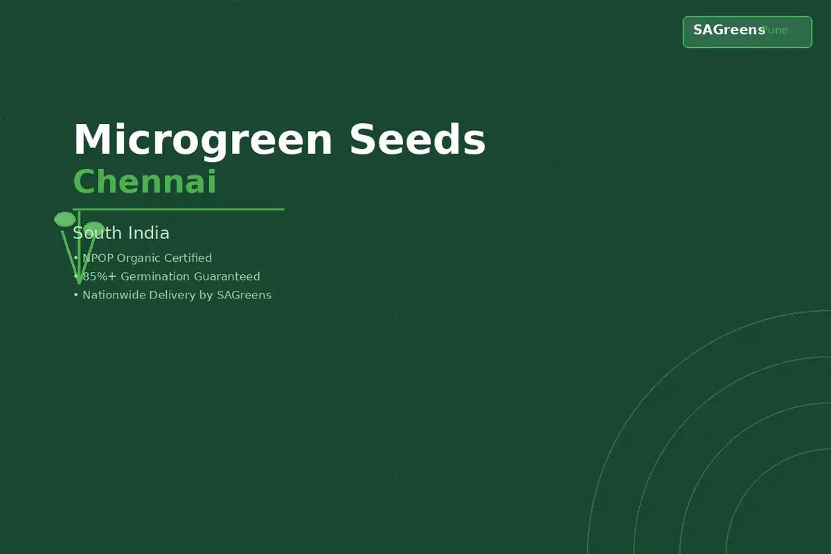 Microgreen seeds Chennai – NPOP-certified untreated seeds for Tamil Nadu home growers, venthayam fenugreek and kothamalli coriander varieties by SAGreens Pune