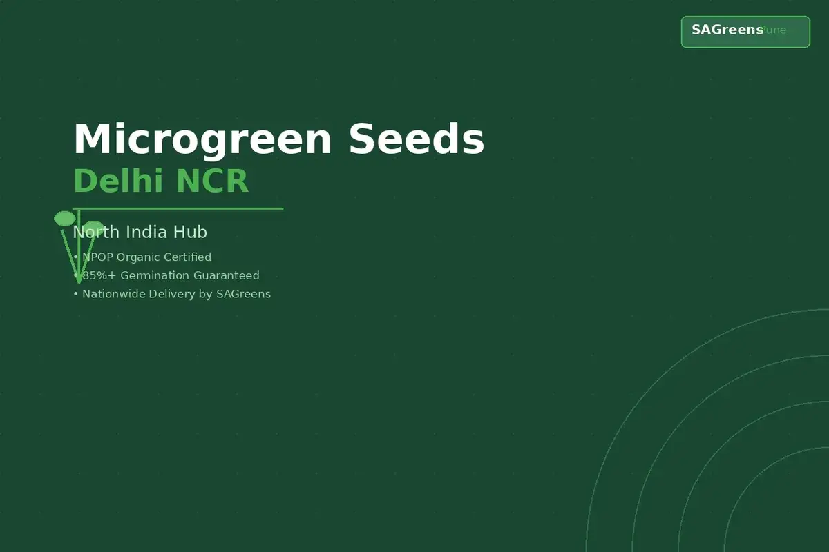 Microgreen seeds Delhi NCR – NPOP-certified untreated seeds for Delhi, Gurugram, Noida home growers and commercial operations by SAGreens Pune