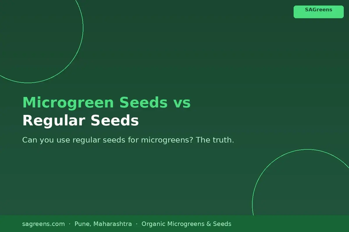 Microgreen seeds vs regular seeds India – can you use grocery methi rai seeds for microgreens, when treated garden seeds are unsafe, by SAGreens