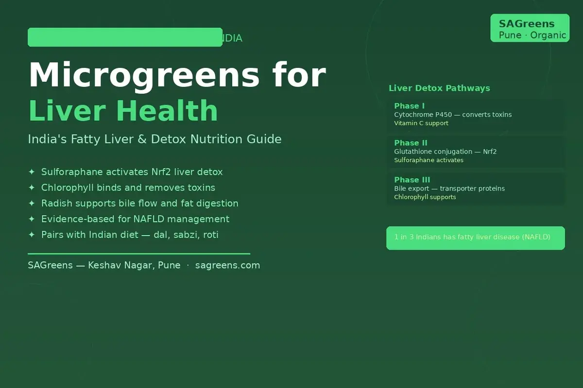Microgreens for liver health India – NAFLD guide to sulforaphane broccoli, radish bile stimulation and sunflower vitamin E for fatty liver by SAGreens Pune