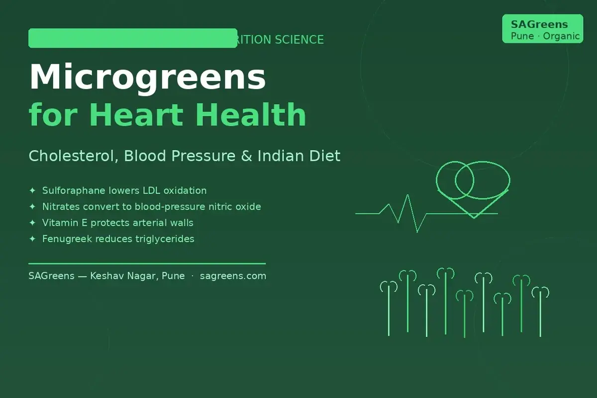 Microgreens for heart health India – broccoli sulforaphane, radish nitrates, sunflower vitamin E and fenugreek for cholesterol and blood pressure by SAGreens Pune