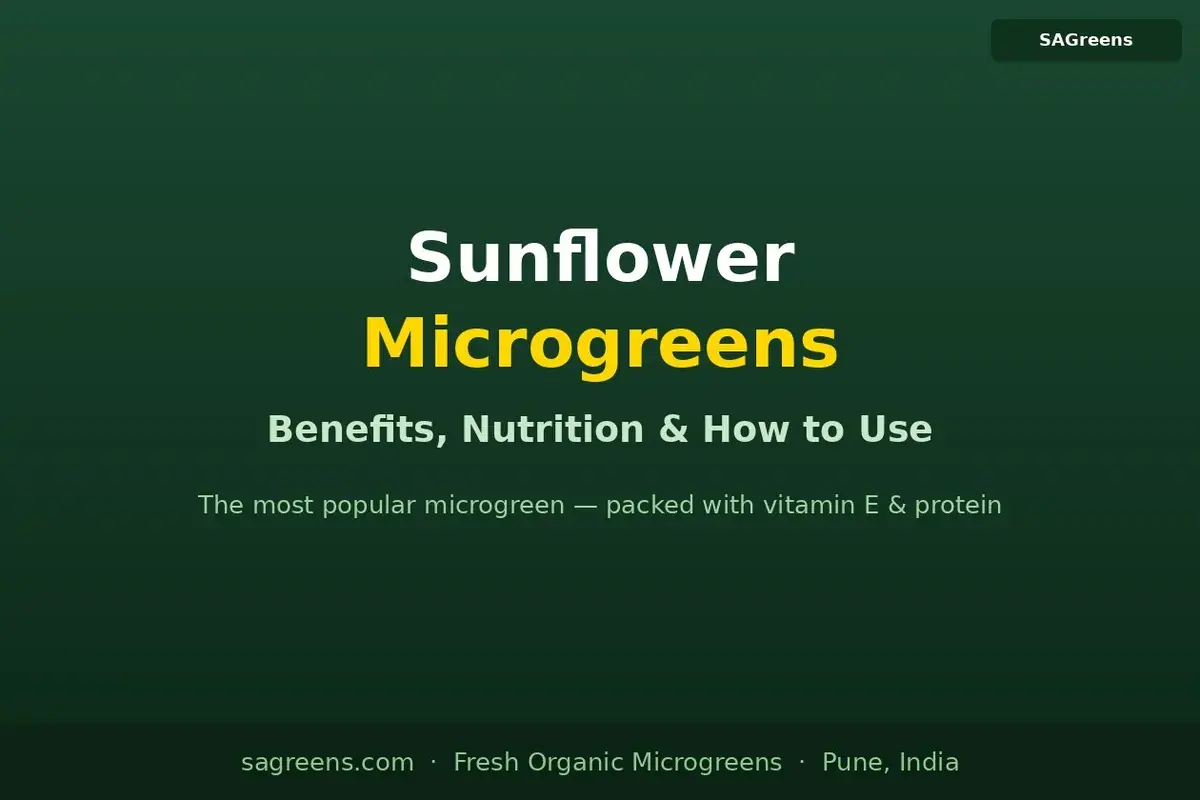 Sunflower microgreens benefits guide – vitamin E, selenium, complete protein, zinc, and B vitamins; nutrition facts and Indian recipes by SAGreens Pune