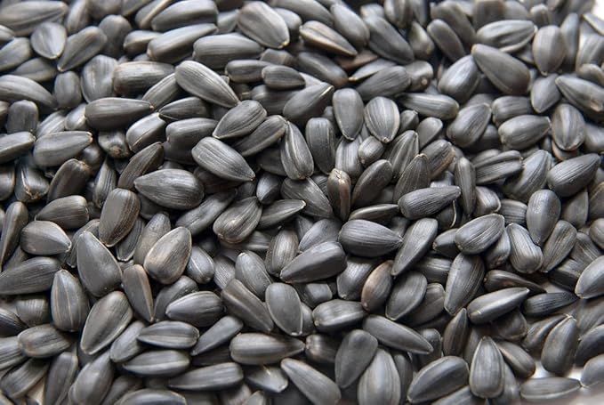 Organic Sunflower Seeds