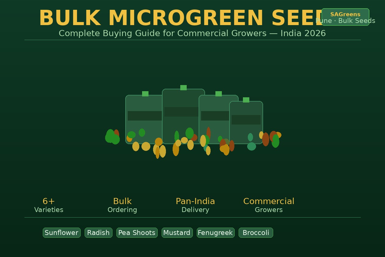 Bulk microgreen seeds India buying guide – commercial seed varieties including sunflower, radish, mustard and pea shoots for farms, restaurants and food businesses by SAGreens Pune