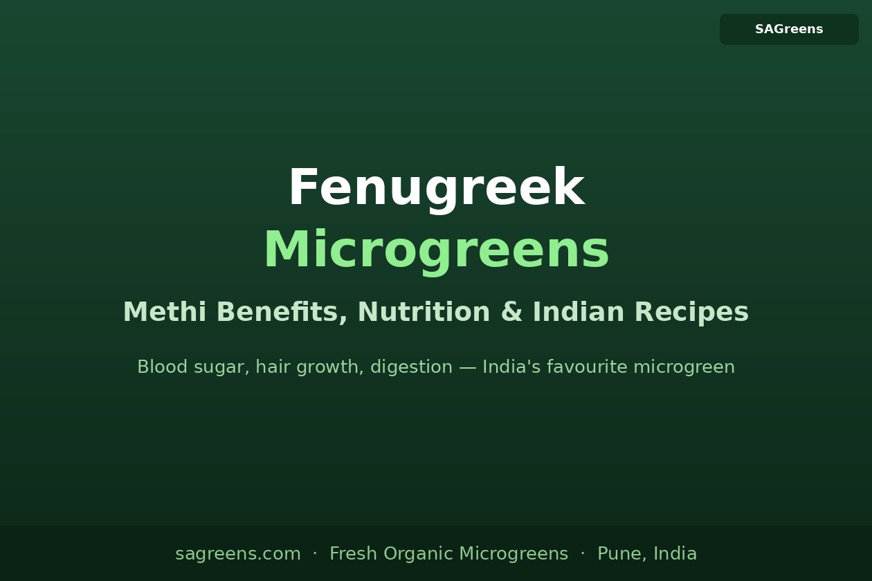 Fenugreek microgreens benefits guide – methi nutrition, blood sugar, hair growth, cholesterol, nursing mothers, and Indian recipes by SAGreens Pune