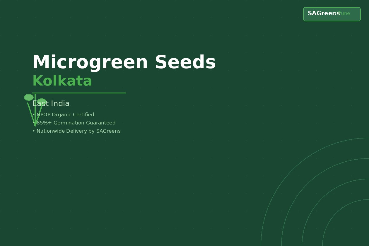 Microgreen seeds Kolkata – NPOP-certified untreated sarson mustard and sunflower seeds for West Bengal home growers and commercial farms by SAGreens Pune