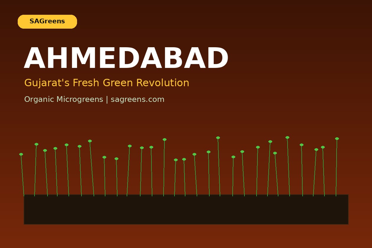 Microgreens in Ahmedabad: Grow & Eat Guide | Fresh microgreens blog | SAGreens