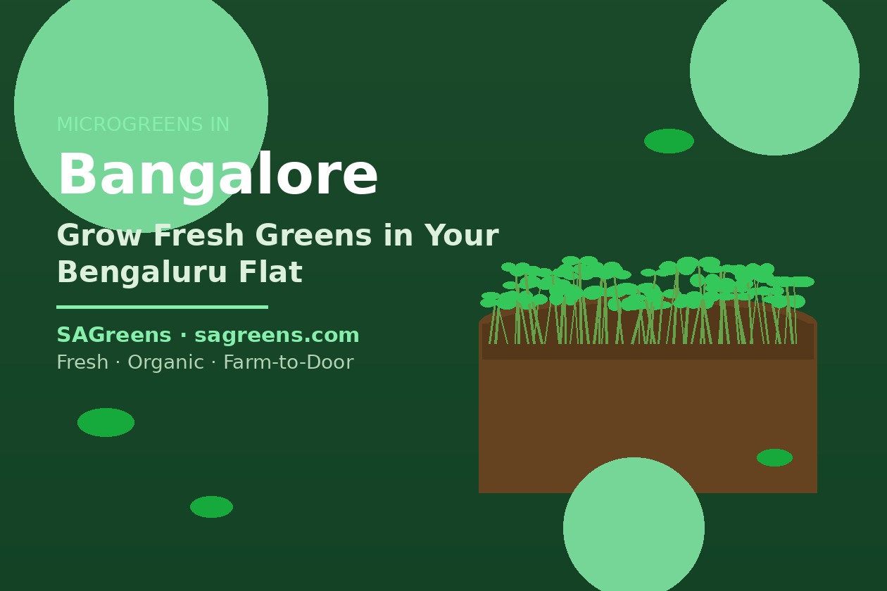 Microgreens in Bangalore: The Complete Guide to Growing & Buying Fresh Greens in Bengaluru | Fresh microgreens blog | SAGreens