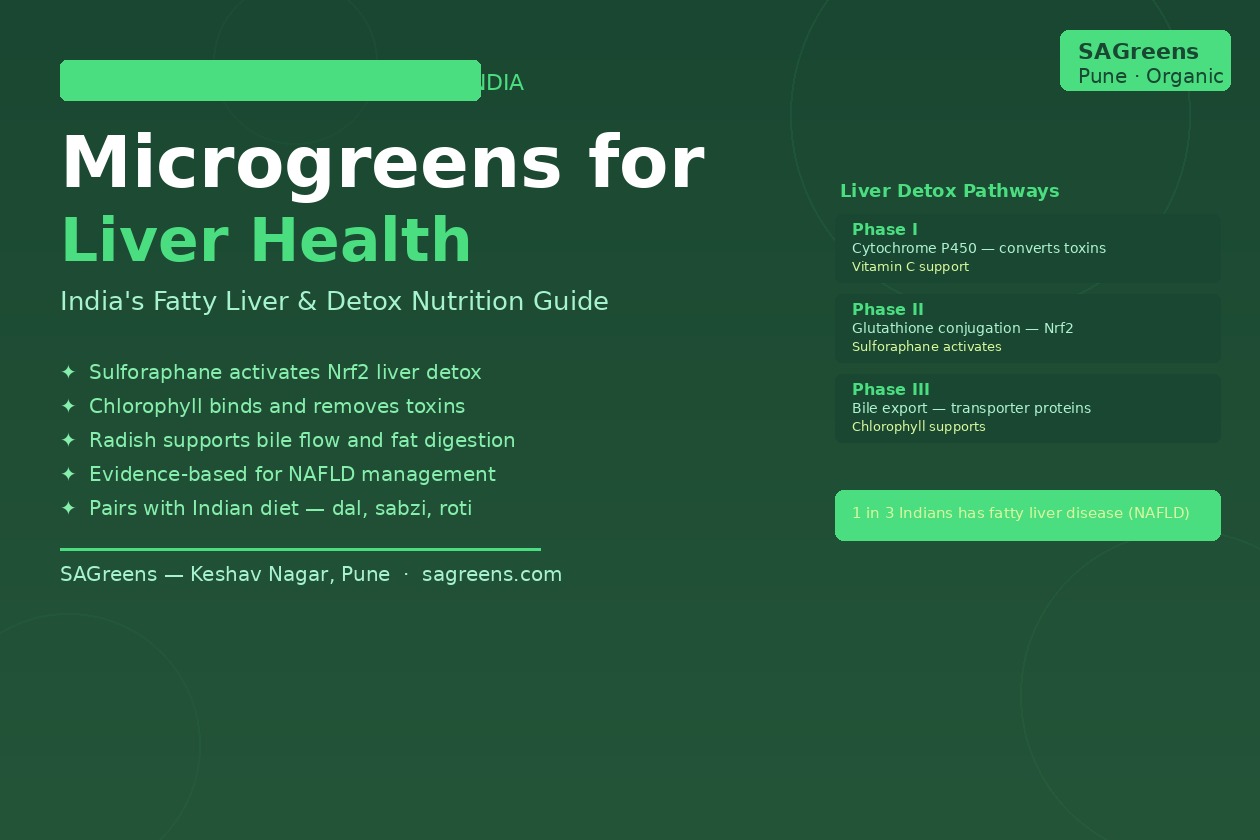 Microgreens for liver health India – NAFLD guide to sulforaphane broccoli, radish bile stimulation and sunflower vitamin E for fatty liver by SAGreens Pune