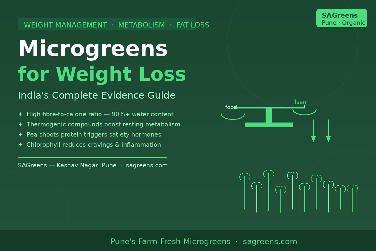 Microgreens for weight loss India – low calorie high fibre guide to sulforaphane AMPK metabolism, fenugreek GLP-1 satiety and Indian diet substitutions by SAGreens Pune