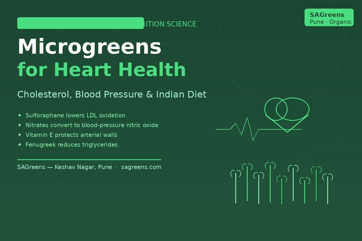 Microgreens for heart health India – broccoli sulforaphane, radish nitrates, sunflower vitamin E and fenugreek for cholesterol and blood pressure by SAGreens Pune