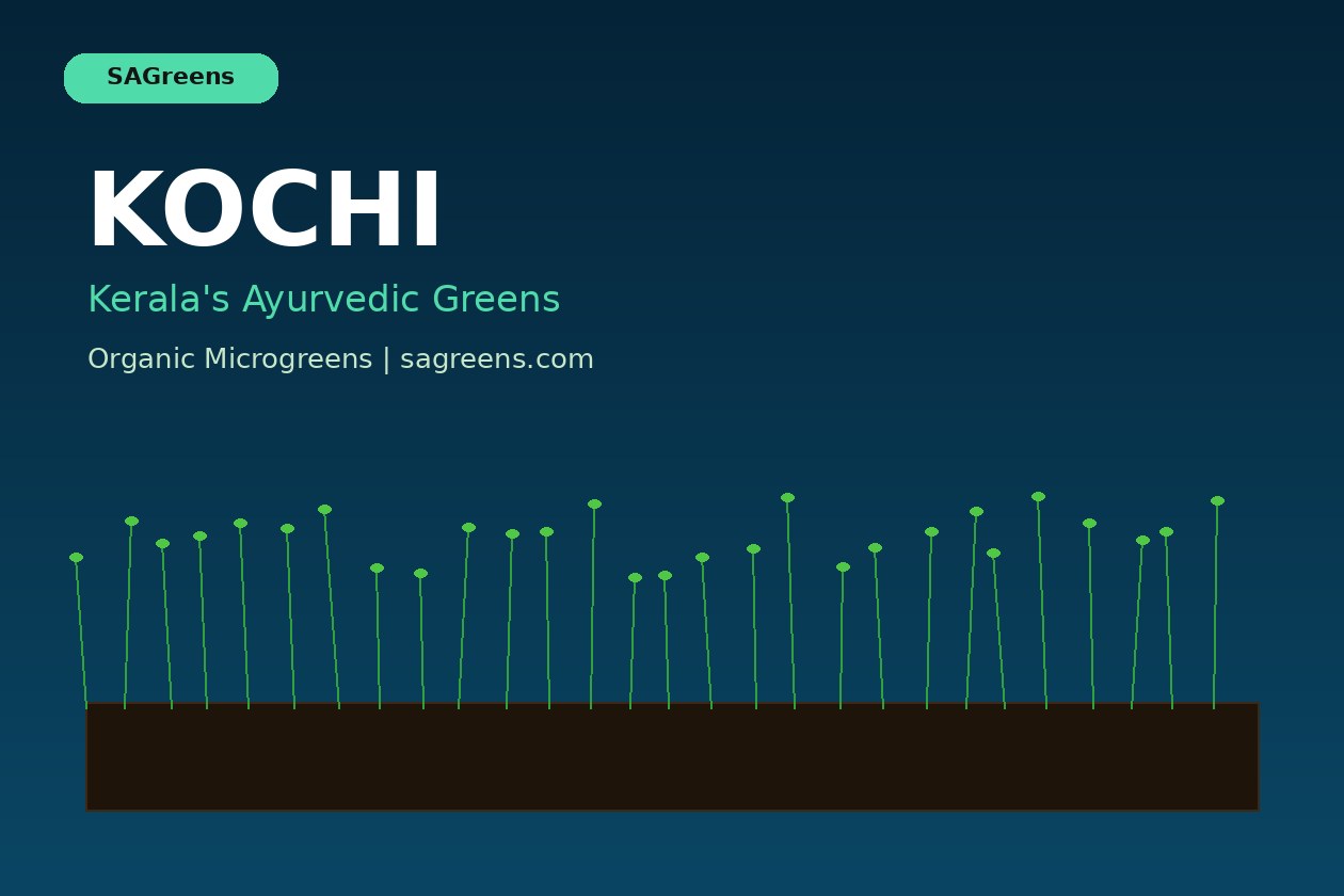 Microgreens in Kochi: Kerala Growing Guide | Fresh microgreens blog | SAGreens