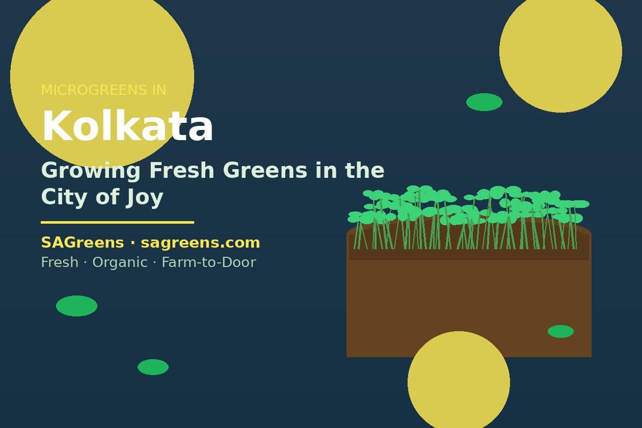 Microgreens in Kolkata: Growing Fresh Greens in the City of Joy | Fresh microgreens blog | SAGreens