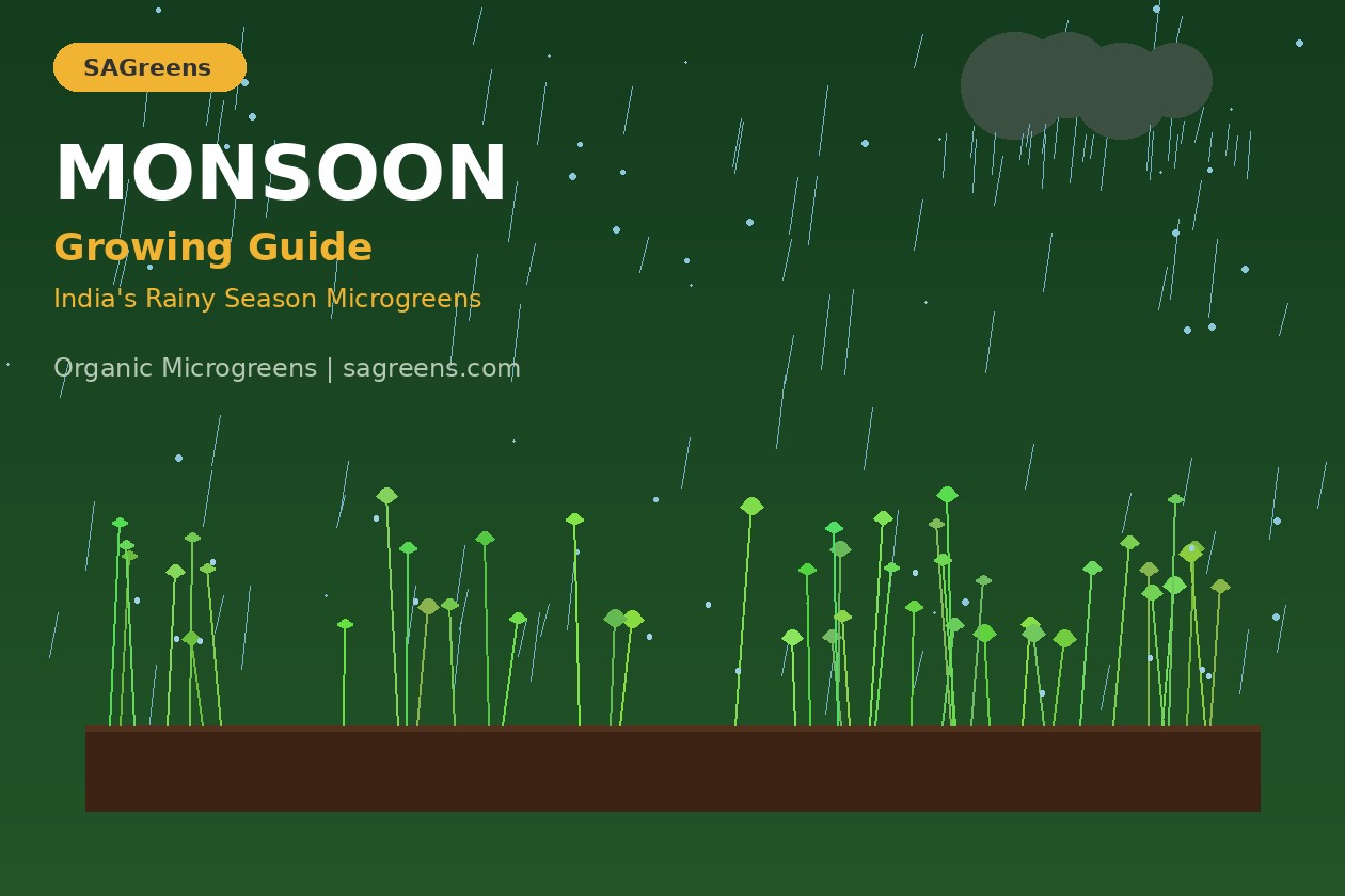 Growing microgreens during Indian monsoon season – tips for preventing mold, best varieties, and rainy season adjustments for home growers
