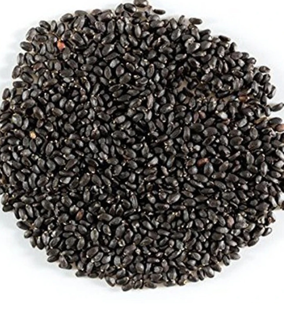 Organic Organic Basil Seeds for microgreens - buy online Pune | SAGreens