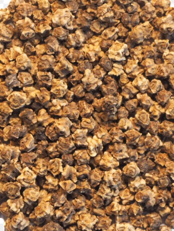 Organic Organic Beetroot Seeds for microgreens - buy online Pune | SAGreens