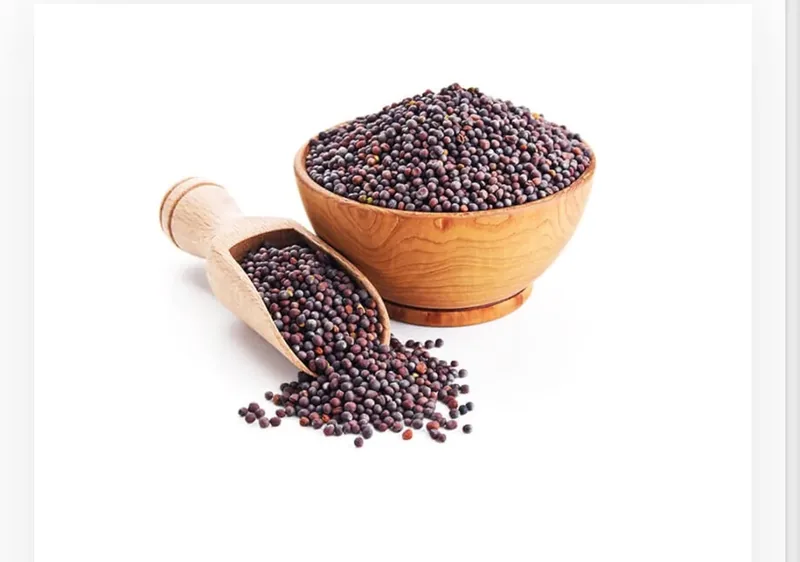 Organic Mustard Seeds — organic microgreen seeds from SAGreens