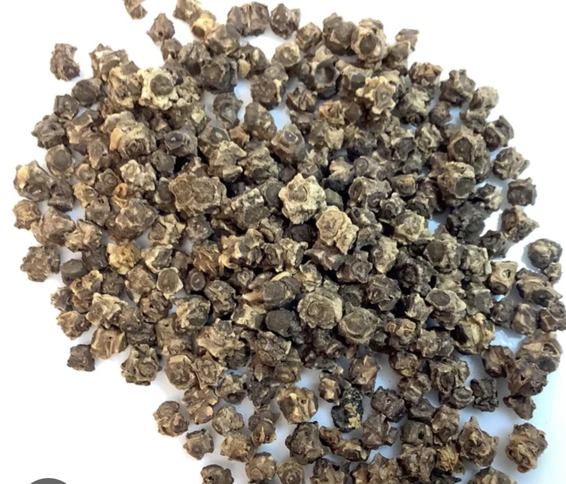 Organic Organic Swiss Chard Seeds for microgreens - buy online Pune | SAGreens
