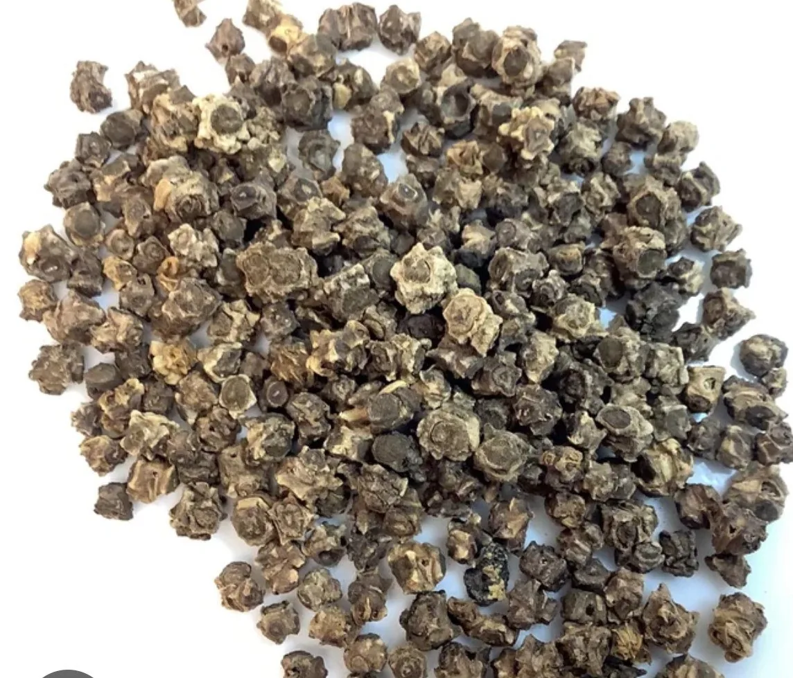 Organic Swiss Chard Seeds — Buy Microgreens Online Pune | SAGreens