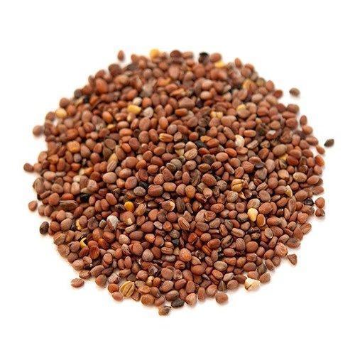 Organic Radish Seeds