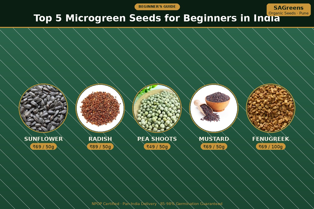 Top 5 beginner microgreen seeds India – sunflower, radish, pea shoots, mustard and fenugreek NPOP-certified organic seeds with prices and germination rates, combined product guide by SAGreens Pune