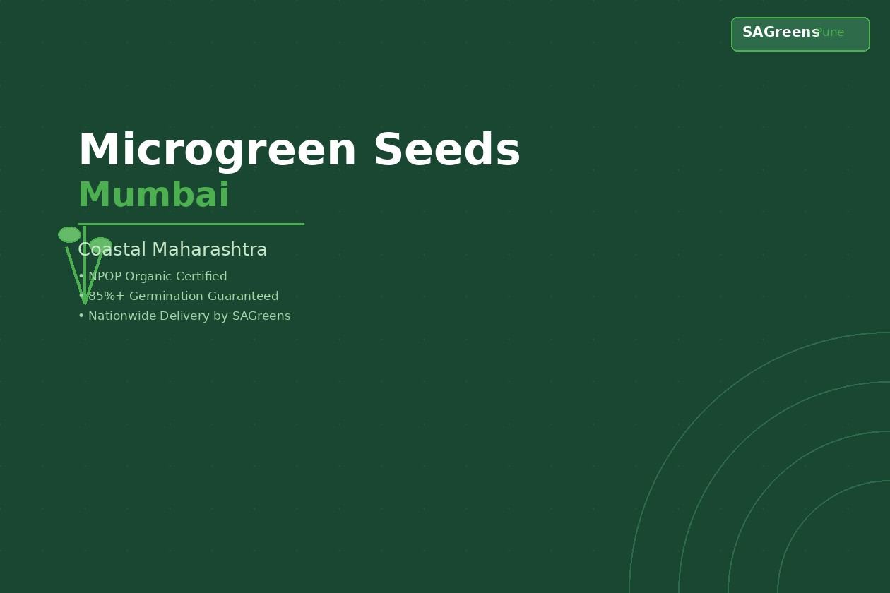 Packs of SAGreens microgreen seeds prepared for delivery to Mumbai